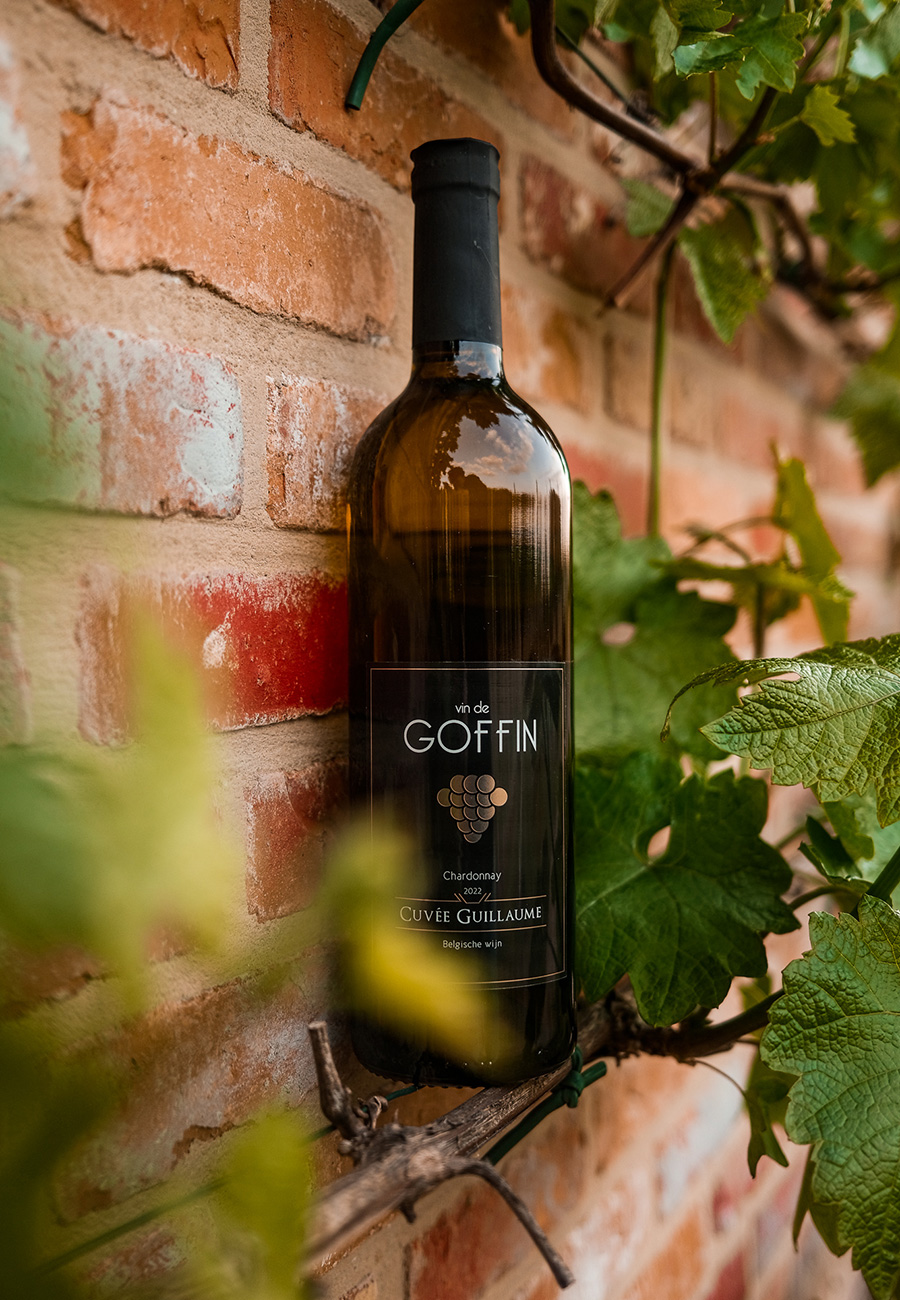 Vin de Goffin