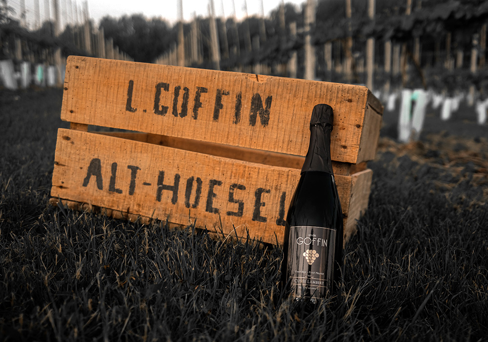 Vin de Goffin
